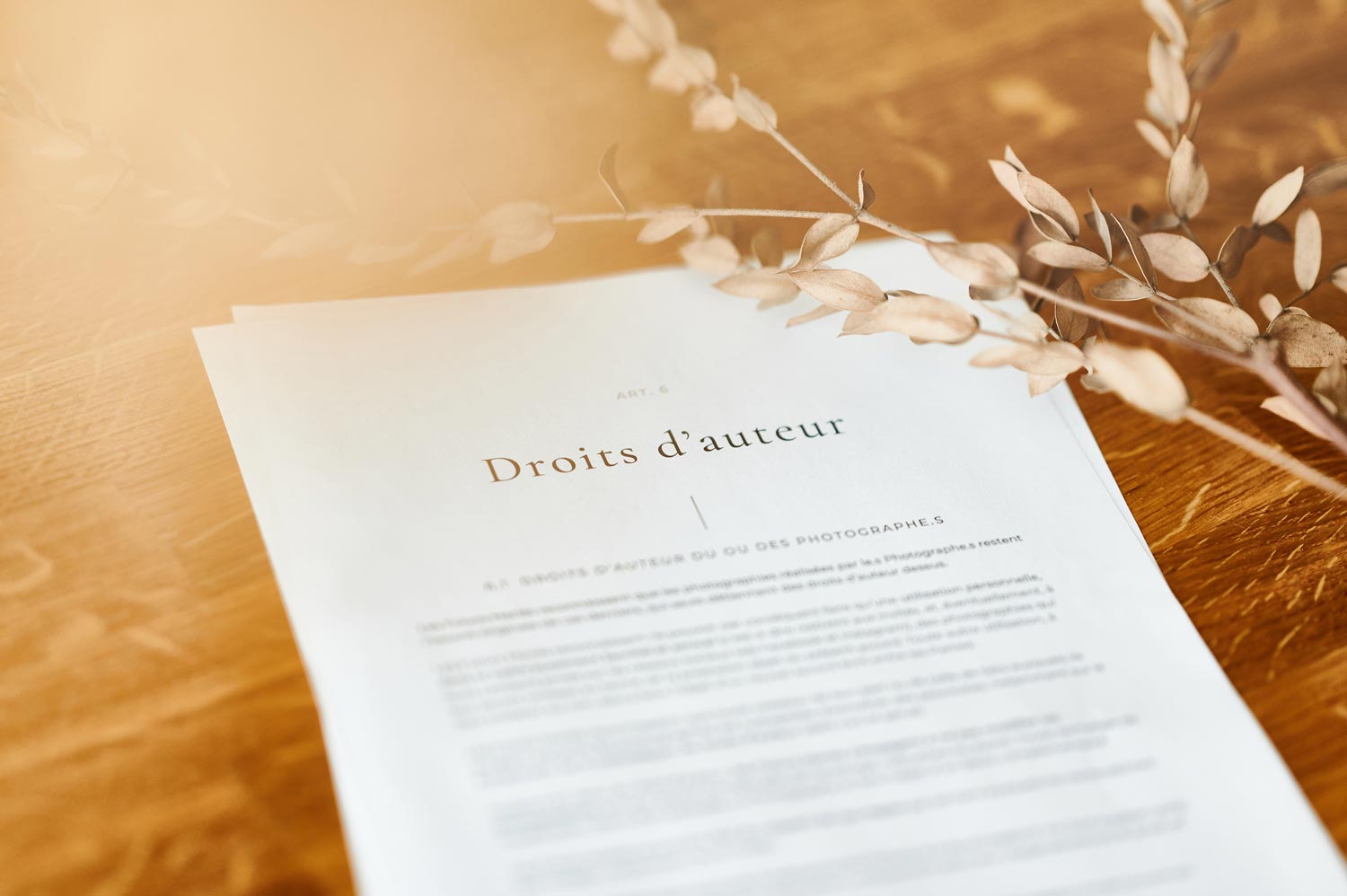 Mieux comprendre le droit d'auteur en photographie